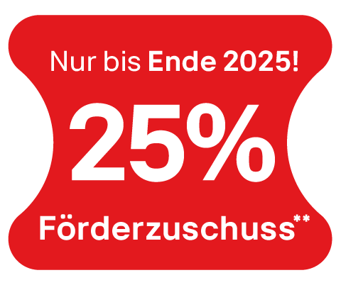 nur bis ende 2025!